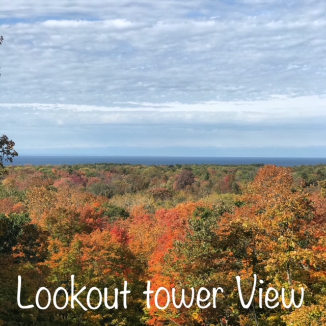 Lookout tower view